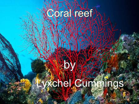 Coral reef by Lyxchel Cummings.  109 countries have Coral reefs. The Great Barrier Reef is the largest Coral formation in the planet, it is located in.