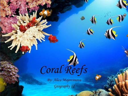 Coral Reefs By: Alica Majercinova Geography 12.