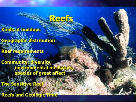 Reefs Kinds of buildups Geographic distribution Reef requirements Community: diversity, environmental mediators, species of great affect The Sensitive.