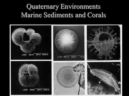 Quaternary Environments Marine Sediments and Corals.