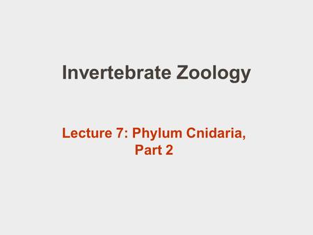 Lecture 7: Phylum Cnidaria, Part 2