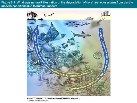 Figure 8.1 What was natural? Illustration of the degradation of coral reef ecosystems from past to modern conditions due to human impacts.