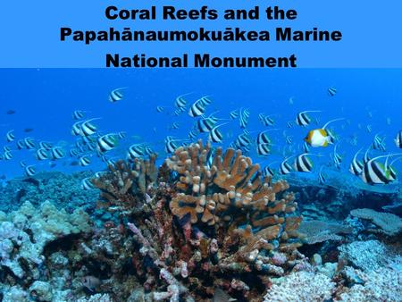 Coral Reefs and the Papahānaumokuākea Marine National Monument.