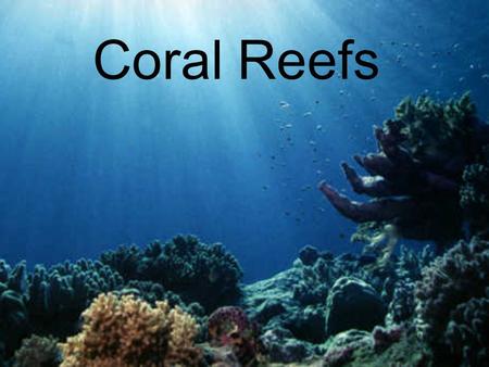 Coral Reefs. Facts about Coral Reefs Largest living thing on Earth Covers less than 1% of the Earth’s Surface Needs sunlight to grow.