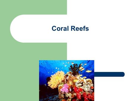 Coral Reefs. Corals are Colonial Organisms Almost all corals are colonial organisms. This means that they are composed of hundreds to hundreds of thousands.