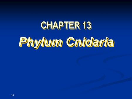13-1 CHAPTER 13 Phylum Cnidaria. Copyright © The McGraw-Hill Companies, Inc. Permission required for reproduction or display. 13-2.