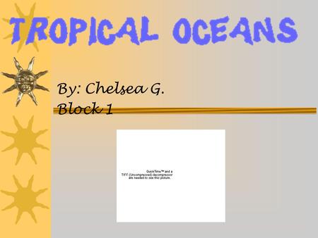 By: Chelsea G. Block 1. Location of Coral Reefs and Tropical Oceans The Tropical Oceans and Coral Reefs are in Central America, Jamaica, the eastern side.