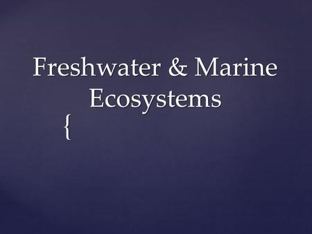 Freshwater & Marine Ecosystems