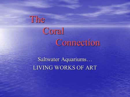 The Coral Connection Saltwater Aquariums… LIVING WORKS OF ART.