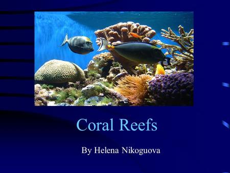 Coral Reefs By Helena Nikoguova.