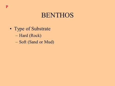 BENTHOS Type of Substrate –Hard (Rock) –Soft (Sand or Mud) P.