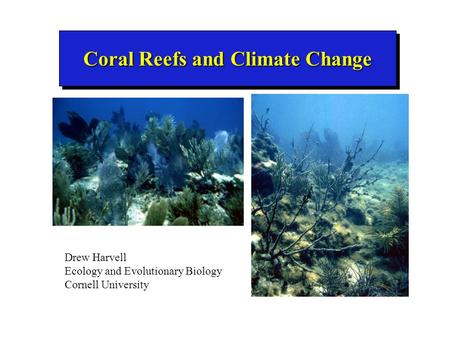 Coral Reefs and Climate Change Drew Harvell Ecology and Evolutionary Biology Cornell University.