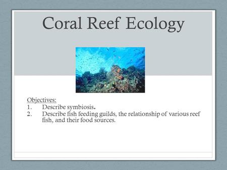Coral Reef Ecology Objectives: 1.Describe symbiosis. 2.Describe fish feeding guilds, the relationship of various reef fish, and their food sources.