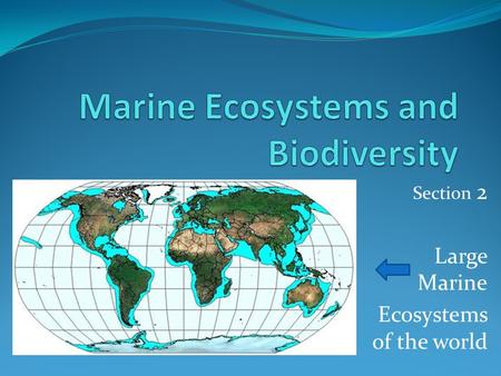 Section 2 Large Marine Ecosystems of the world. Objectives To understand relationships between organisms within ecosystems To identify the connection.