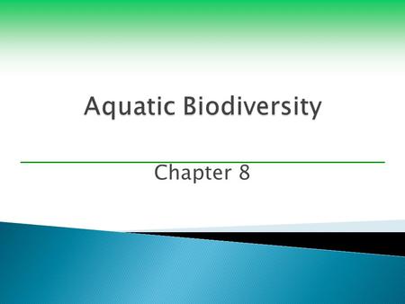 Chapter 8.  Biodiversity  Important ecological and economic services ◦ Moderate atmospheric temperatures ◦ Act as natural barriers protecting coasts.