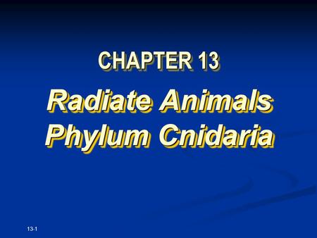 13-1 CHAPTER 13 Radiate Animals Phylum Cnidaria Radiate Animals Phylum Cnidaria.