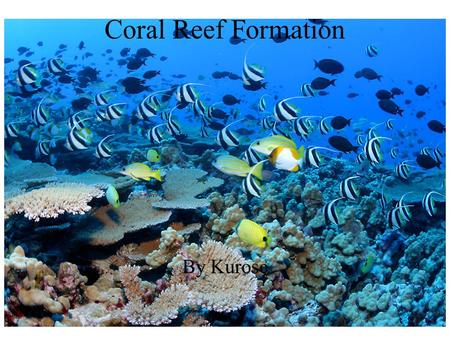 Coral Reef Formation By Kurose.