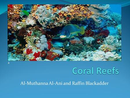 Al-Muthanna Al-Ani and Raffin Blackadder 2. Coral Reefs Around the World 1.
