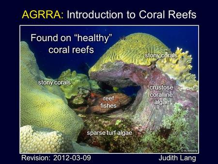 AGRRA: Introduction to Coral Reefs Revision: 2012-03-09 Judith Lang.