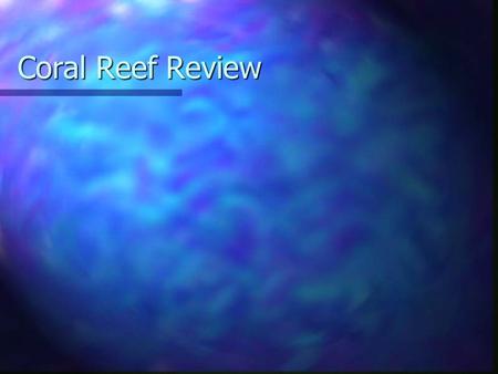 Coral Reef Review. Provides a Habitat Provides a habitat for a wide variety of marine organisms. Provides a habitat for a wide variety of marine organisms.