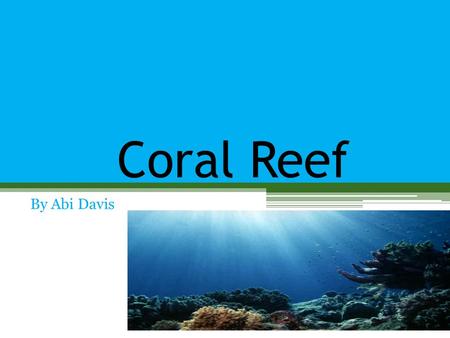 Coral Reef By Abi Davis.