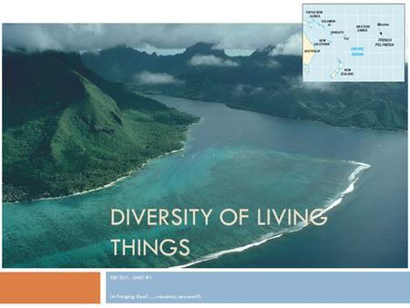 DIVERSITY OF LIVING THINGS SBI 3U1: UNIT #1 (A Fringing Reef.......vacation, anyone??)