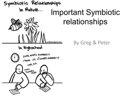 Important Symbiotic relationships By Greg & Peter.