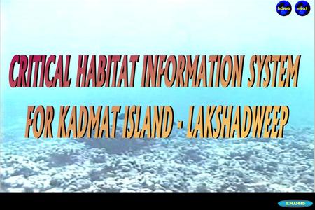 ICMAM-PD. Critical Habitat Information System Kadmat Island Lakshadweep Atoll Satellite view of Kadmat Coral reef About Kadmat Island About Corals Water.