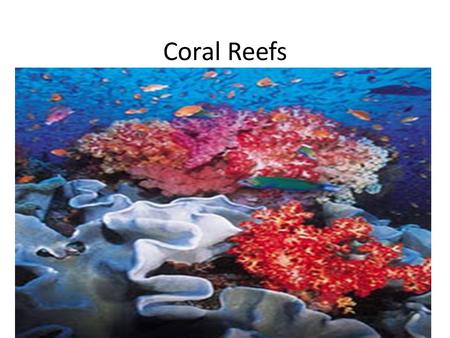 Coral Reefs.