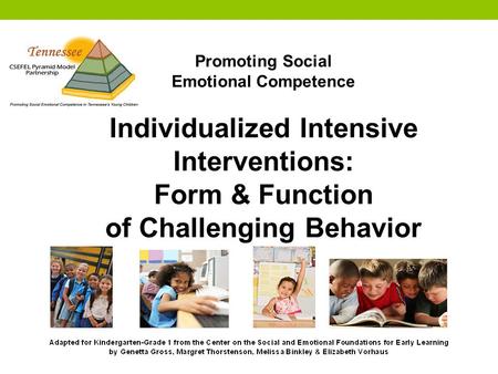 Promoting Social Emotional Competence Individualized Intensive Interventions: Form & Function of Challenging Behavior.