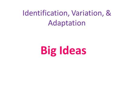 Identification, Variation, & Adaptation Big Ideas.