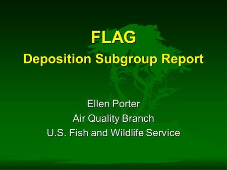 FLAG Deposition Subgroup Report Ellen Porter Air Quality Branch U.S. Fish and Wildlife Service.