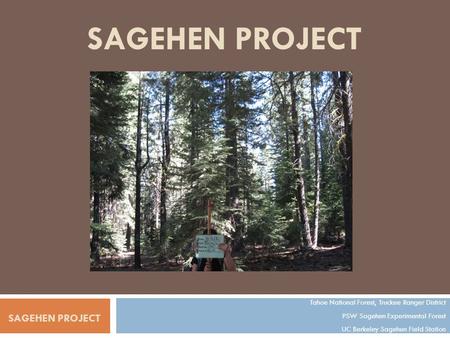 SAGEHEN PROJECT Tahoe National Forest, Truckee Ranger District PSW Sagehen Experimental Forest UC Berkeley Sagehen Field Station SAGEHEN PROJECT.