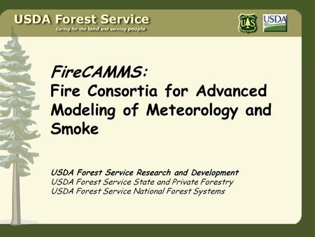 FireCAMMS: Fire Consortia for Advanced Modeling of Meteorology and Smoke USDA Forest Service Research and Development USDA Forest Service State and Private.