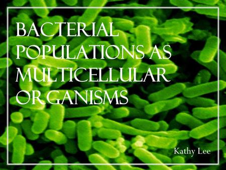 Bacterial Populations as Multicellular Organisms Kathy Lee.