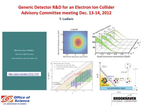 Generic Detector R&D for an Electron Ion Collider Advisory Committee meeting Dec. 13-14, 2012 T. Ludlam