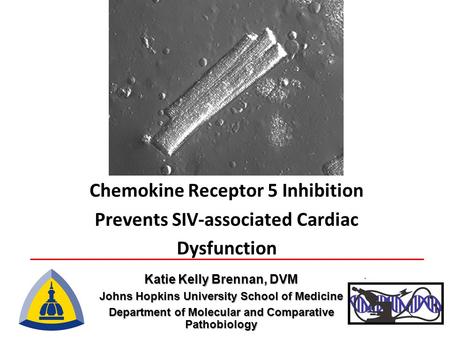 Chemokine Receptor 5 Inhibition Prevents SIV-associated Cardiac Dysfunction Katie Kelly Brennan, DVM Johns Hopkins University School of Medicine Department.