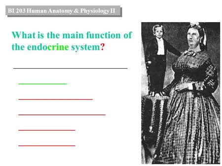What is the main function of the endocrine system? _______________________ ___________ _________________ ____________________ _____________ BI 203 Human.