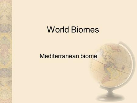 World Biomes Mediterranean biome. Climate In the winter the Mediterranean climate, is mild and moist, but not rainy. During the summer it is very hot.