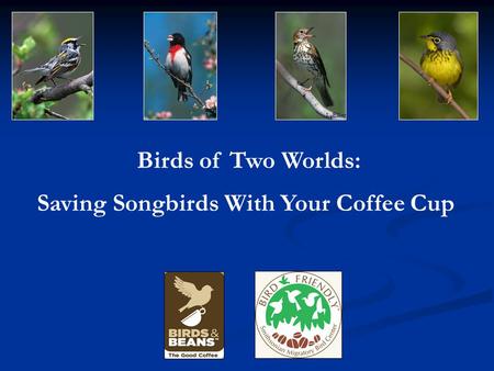 Birds of Two Worlds: Saving Songbirds With Your Coffee Cup L. Elliot.