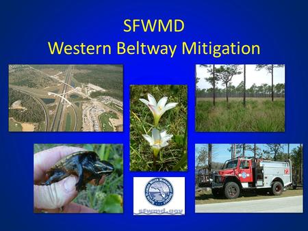 SFWMD Western Beltway Mitigation. Outline 1.Background 2.Mitigation Plan / Options 3.Future Projects / Available Funding Plants observed in Shingle Creek.