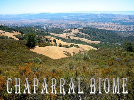 What is a Chaparral? A chaparral is a shrubby coastal area that has hot dry summers and mild, cool, rainy winters. The word chaparral comes from chaparro,
