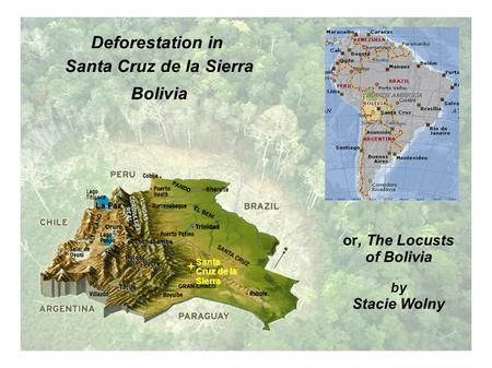 Deforestation in Santa Cruz de la Sierra Bolivia Santa Cruz de la Sierra or, The Locusts of Bolivia by Stacie Wolny.