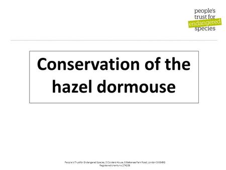 People’s Trust for Endangered Species, 3 Cloisters House, 8 Battersea Park Road, London SW84BG Registered charity no 274206 Conservation of the hazel dormouse.