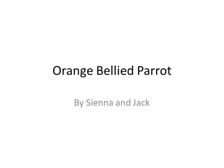 Orange Bellied Parrot By Sienna and Jack. Classification The Orange bellied parrot is a bird. An Orange bellied parrot is endangered. It is only found.