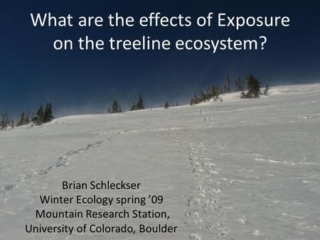 What are the effects of Exposure on the treeline ecosystem? Brian Schleckser Winter Ecology spring ’09 Mountain Research Station, University of Colorado,