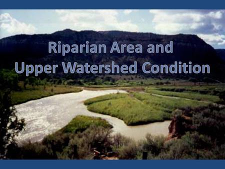 Relationship to E-Flows Riparian Areas Influences groundwater/surface water relationships Provides filters to improve water quality Provides habitat for.