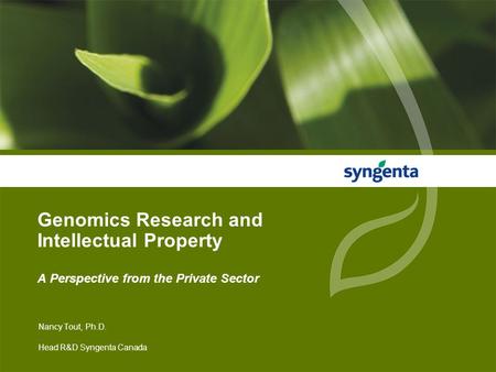 Nancy Tout, Ph.D. Head R&D Syngenta Canada Genomics Research and Intellectual Property A Perspective from the Private Sector.