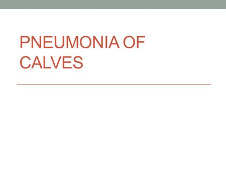 PNEUMONIA OF CALVES. Definition it is multifactorial respiratory disease of calves caused by different types of virus and characterized by variable degree.