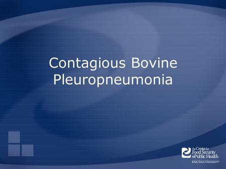 Contagious Bovine Pleuropneumonia. Overview Organism Economic Impact Epidemiology Transmission Clinical Signs Diagnosis and Treatment Prevention and Control.